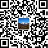 黑龍江TIKTOK色板1.2.31网站工具